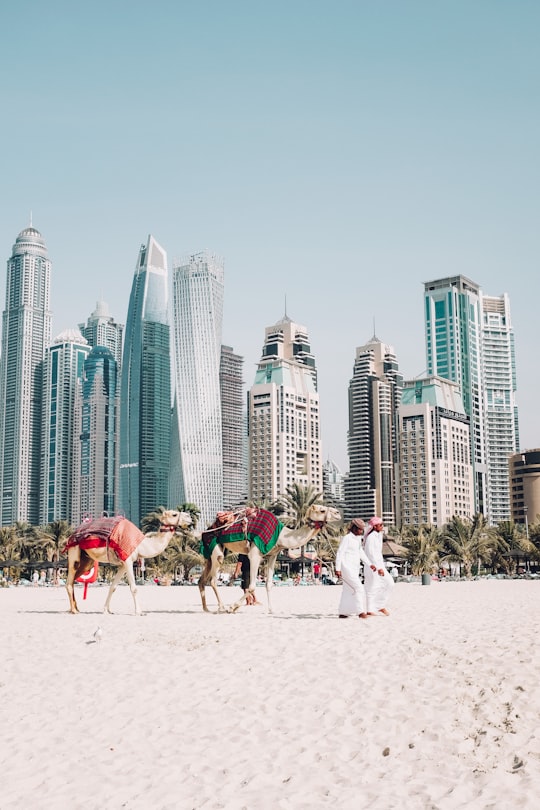 Le Royal Meridien Beach Resort & Spa things to do in دبي