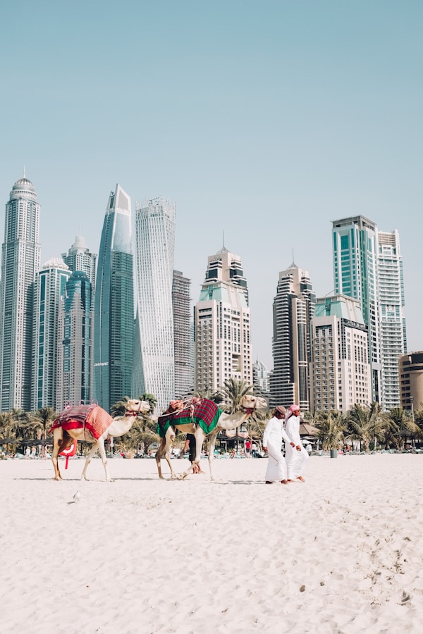 Exploring UAE: Culture, Traditions & Festivals
