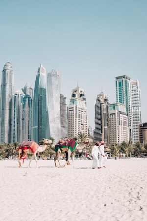 Morning desert safari at sunrise over Dubai dunes