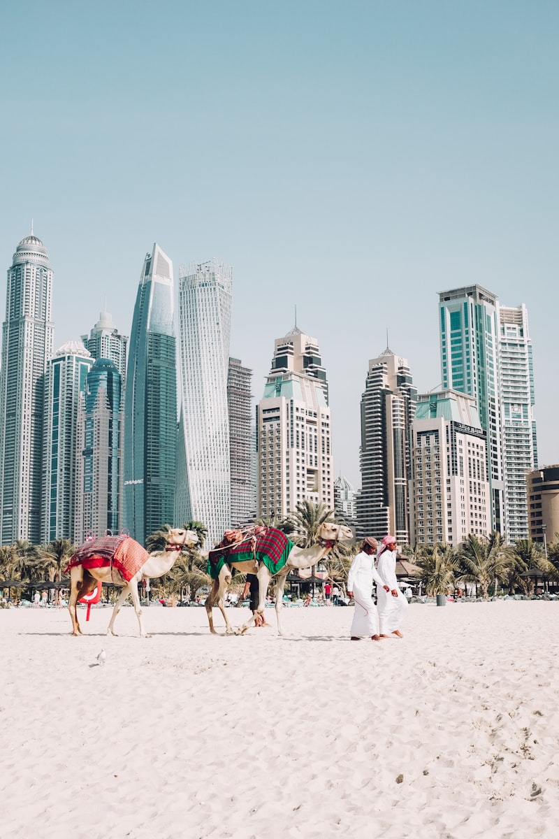 How to Open a UAE Business Bank Account Without Moving to Dubai