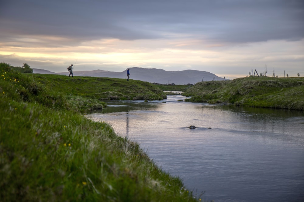 calm body of water between grass field