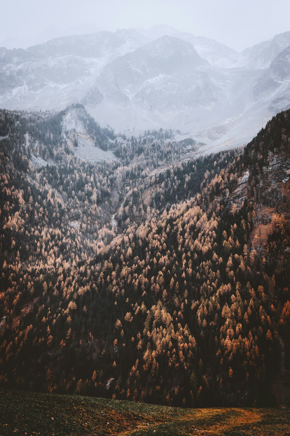 brown and black mountain range in landscape photography