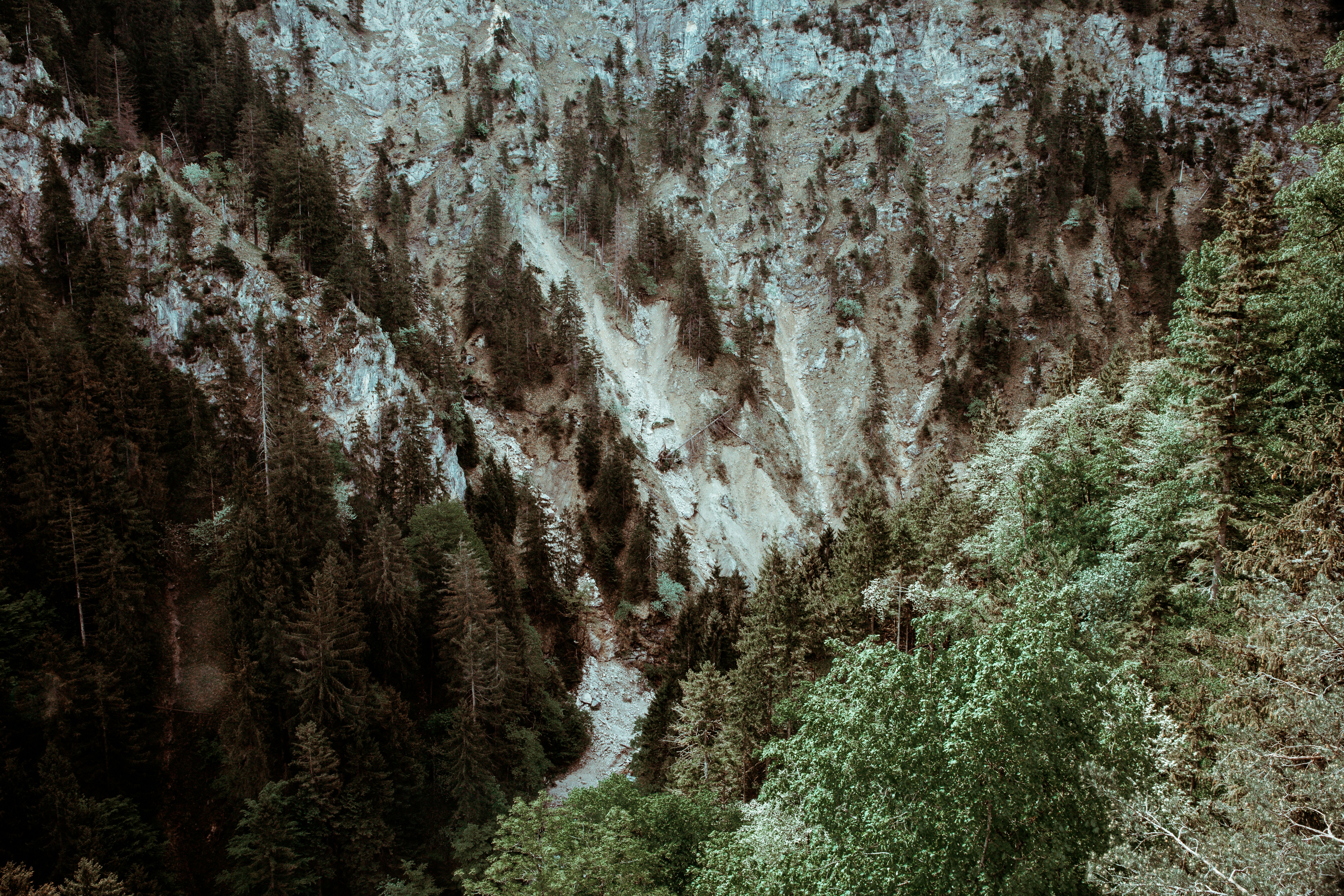 Photo by lavievagabonde