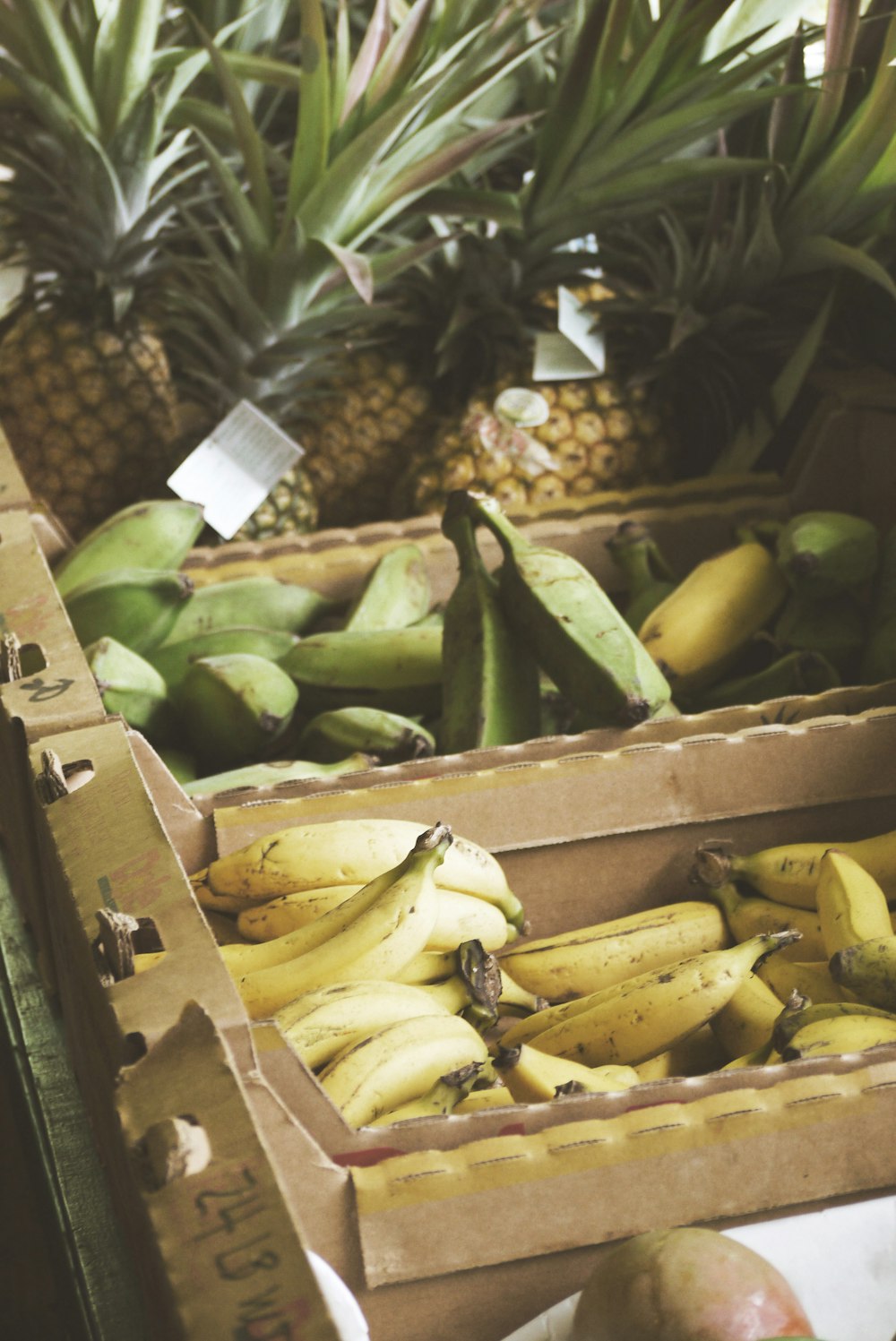 green and yellow bananas near pineapples