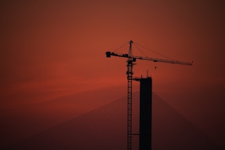 a crane is silhouetted against a red sky