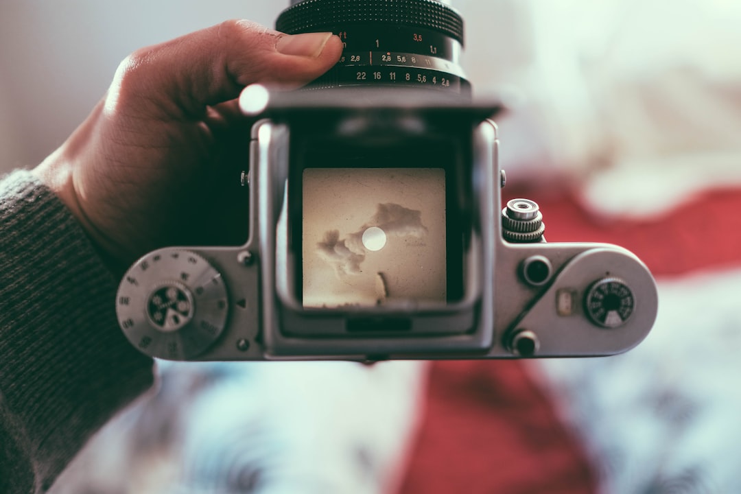 selective color photo of person holding black and gray camera