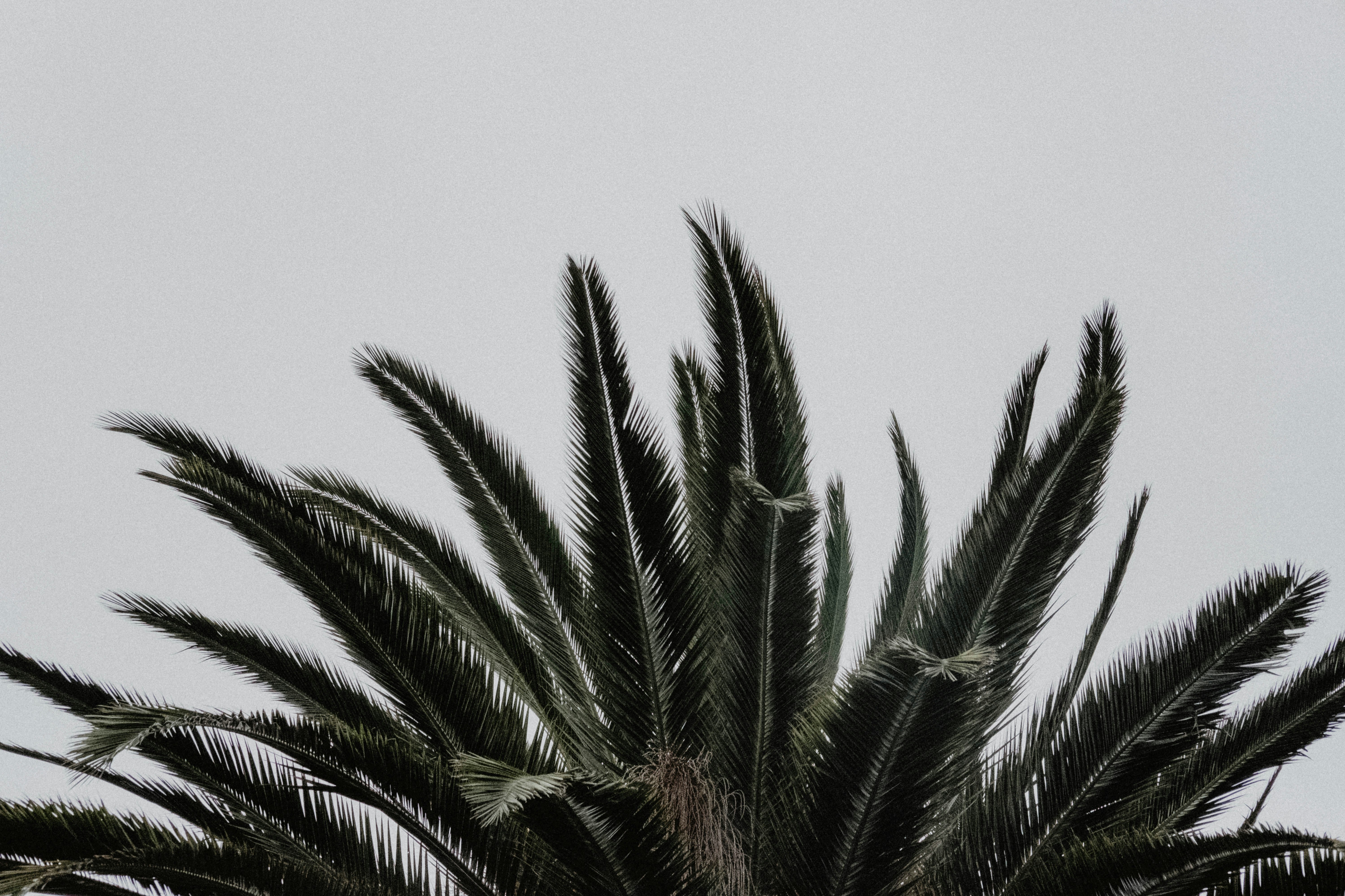 Farzin Khaki S Likes Beidagh Unsplash Photo Community