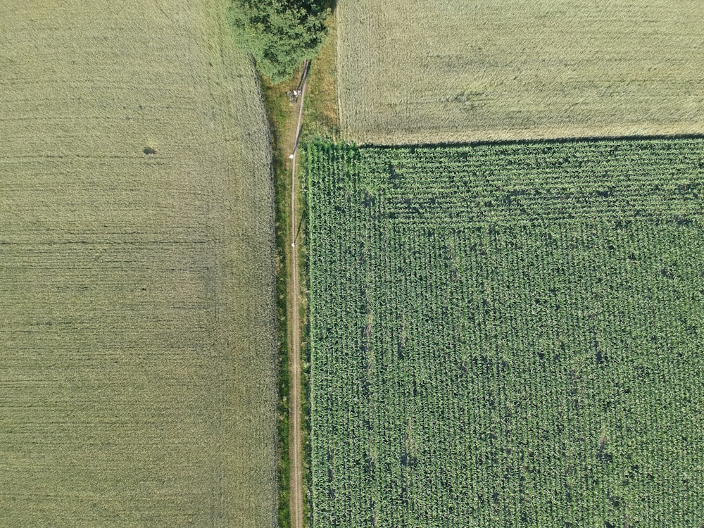 aerial view of green field during daytime