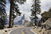A scenic mountain road winding through tall pine trees with an RV driving along.