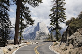 A scenic mountain road winding through tall pine trees with an RV driving along.