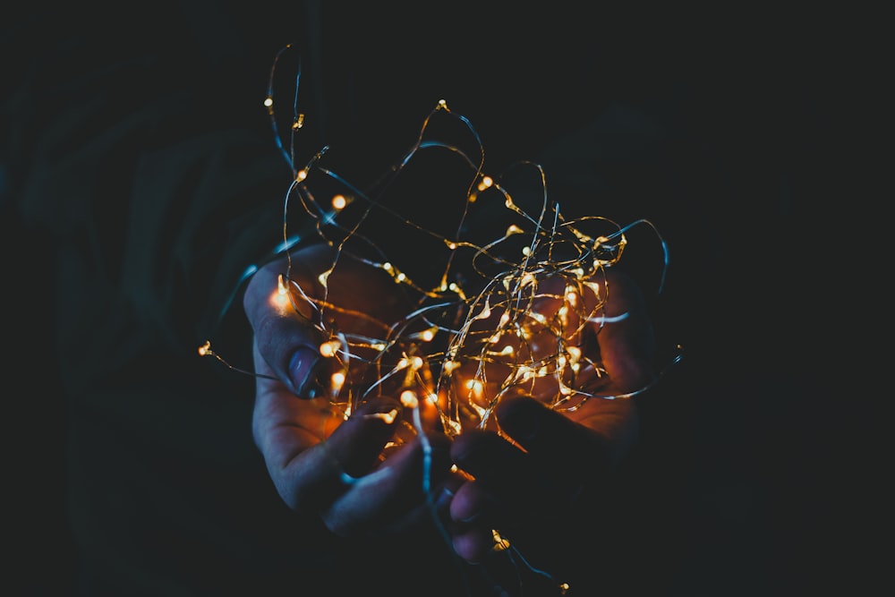 person holding string lights