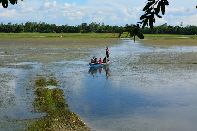 A narrow boat with several people is gliding across a tranquil body of water, surrounded by lush greenery and under a bright blue sky. The scene is framed by overhanging leaves from a nearby tree, adding depth and a sense of enclosure.
