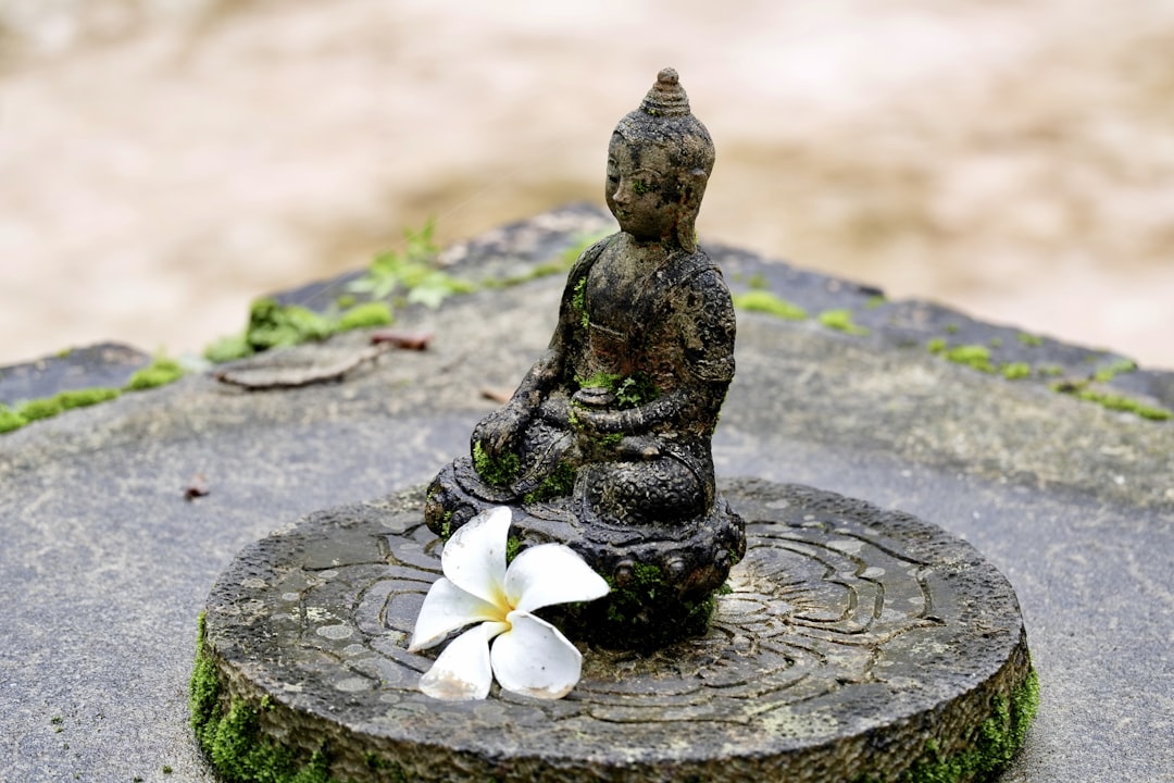 Buddha figurine on table with flower, A Flower in front of Buddha