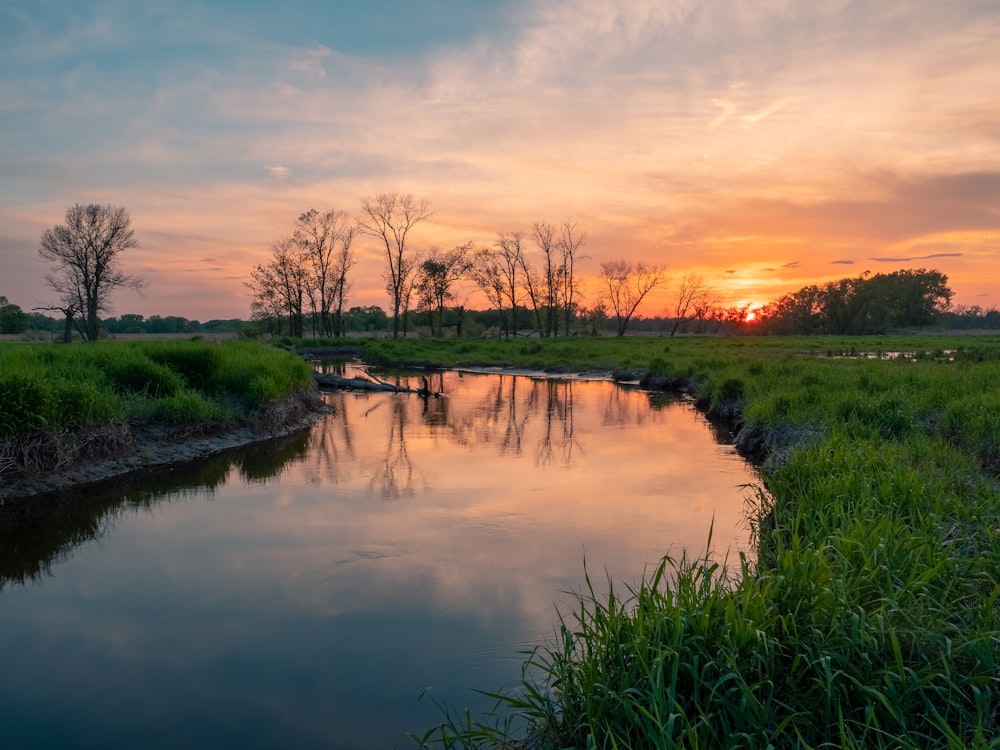 river surrounded by grass