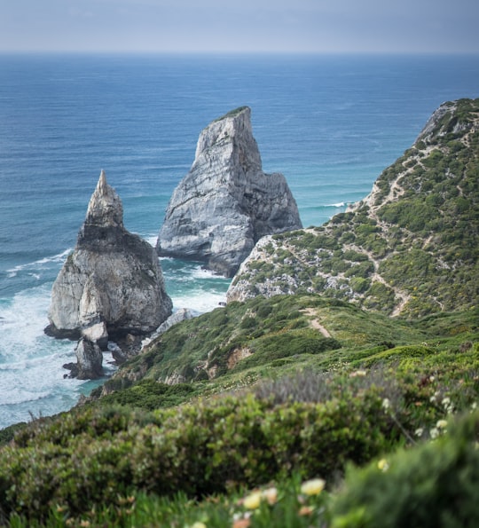 mountain near body of water during daytime in Sintra-Cascais Natural Park Portugal