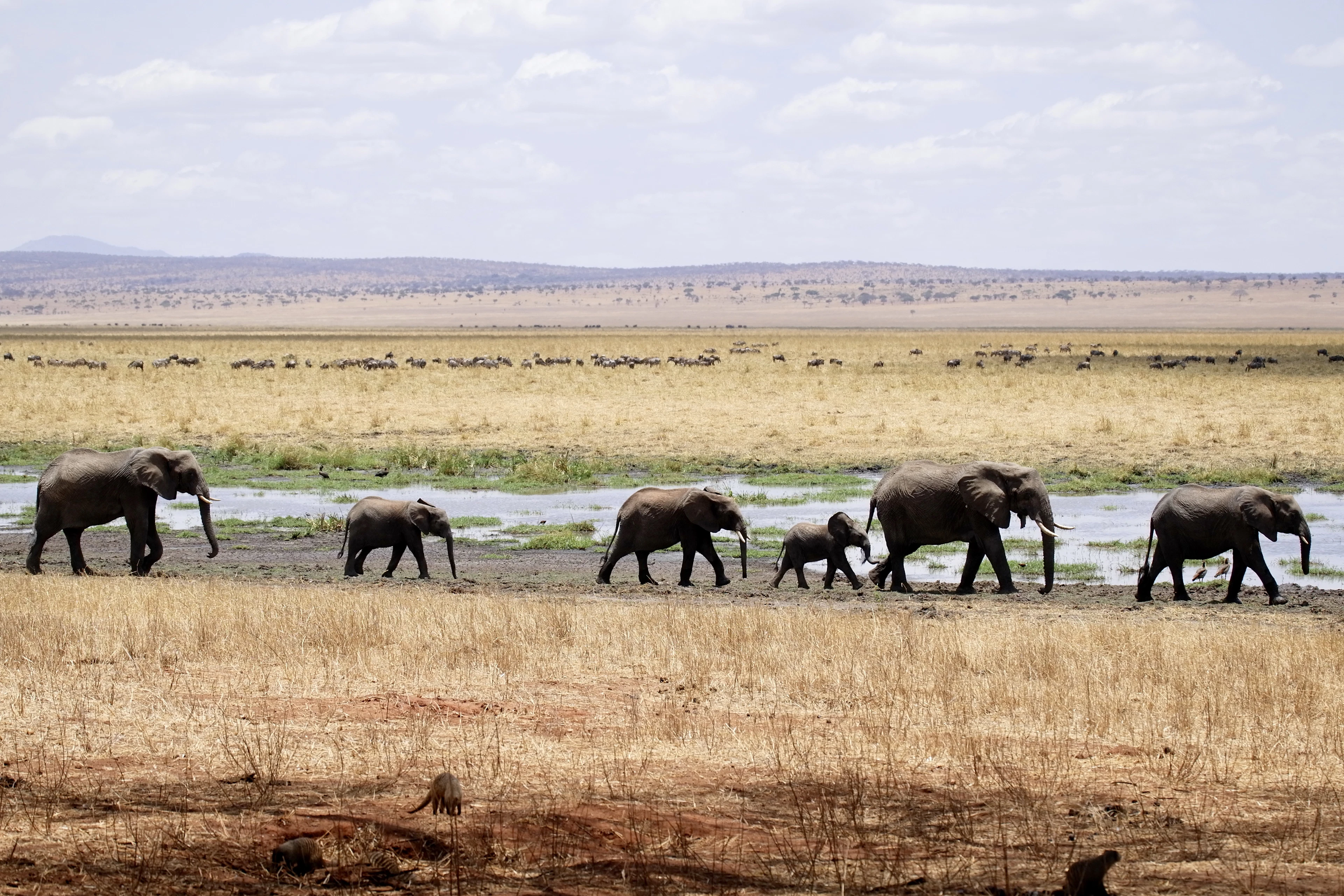 Tanzania — photo 2