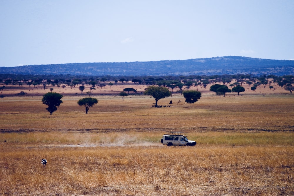 Veículo branco que viaja em campo de grama murcha durante o dia