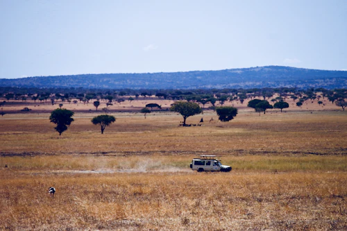 Tanzania