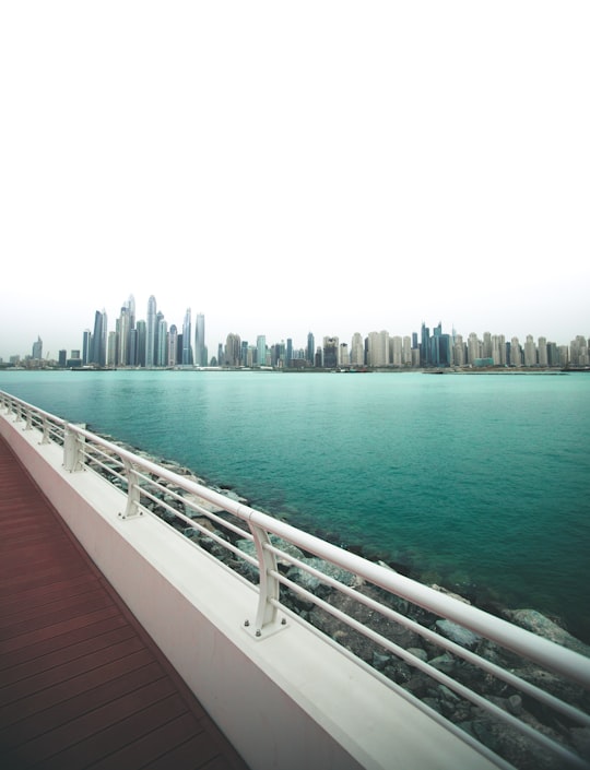 white bridge near water in The Palm United Arab Emirates