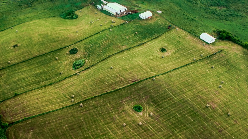 Vue aérienne d’un champ d’herbe avec maison