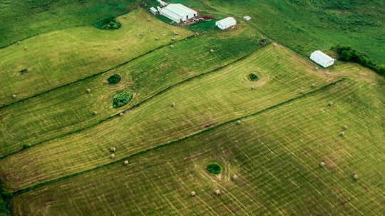 aerial view of grass field with house in Bowling Green United States