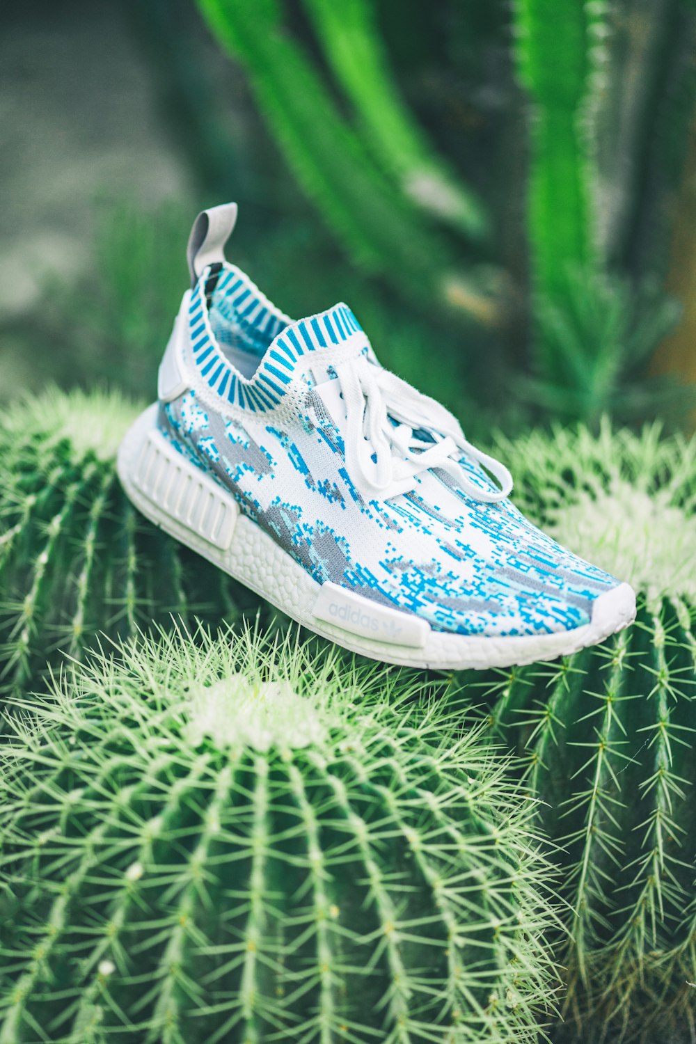 white and blue adidas NMD sneaker on cactus plant