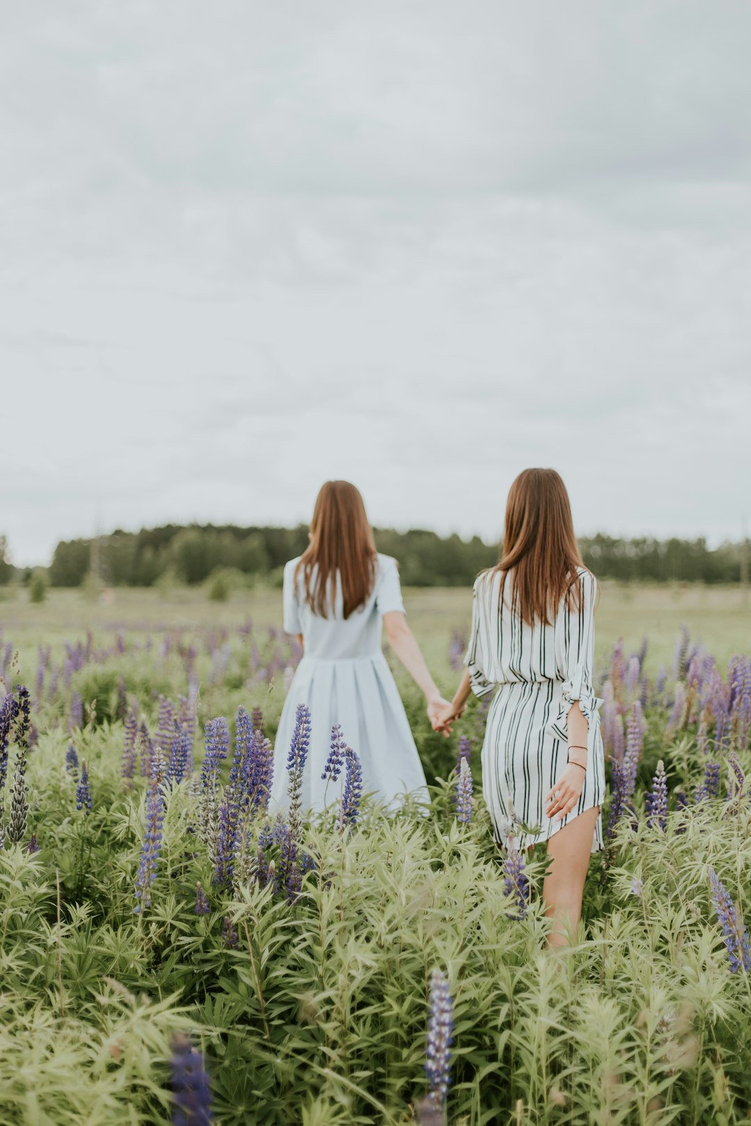 Ecoregion photo spot Riga Sigulda