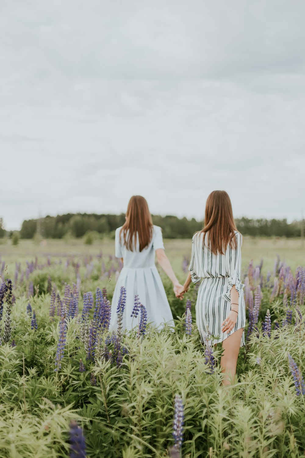 two women surrounded by lavender under nimbus clouds
