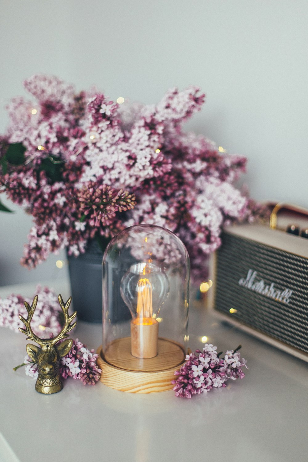 rosa und lila Blumen neben braunem Marshall Gitarrenkopfverstärker