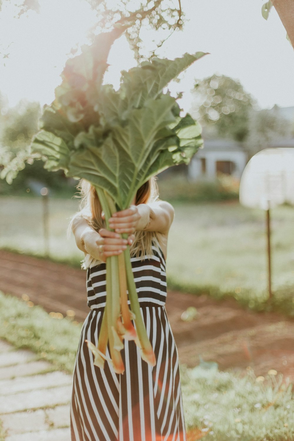 mujer sosteniendo una verdura verde