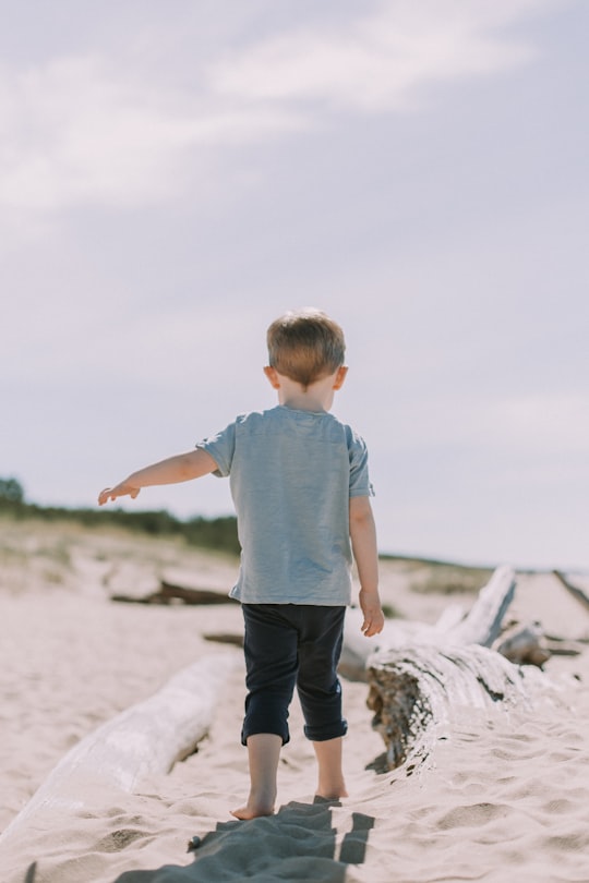 photo of Lilaste Beach near Latvian Ethnographic Open Air Museum