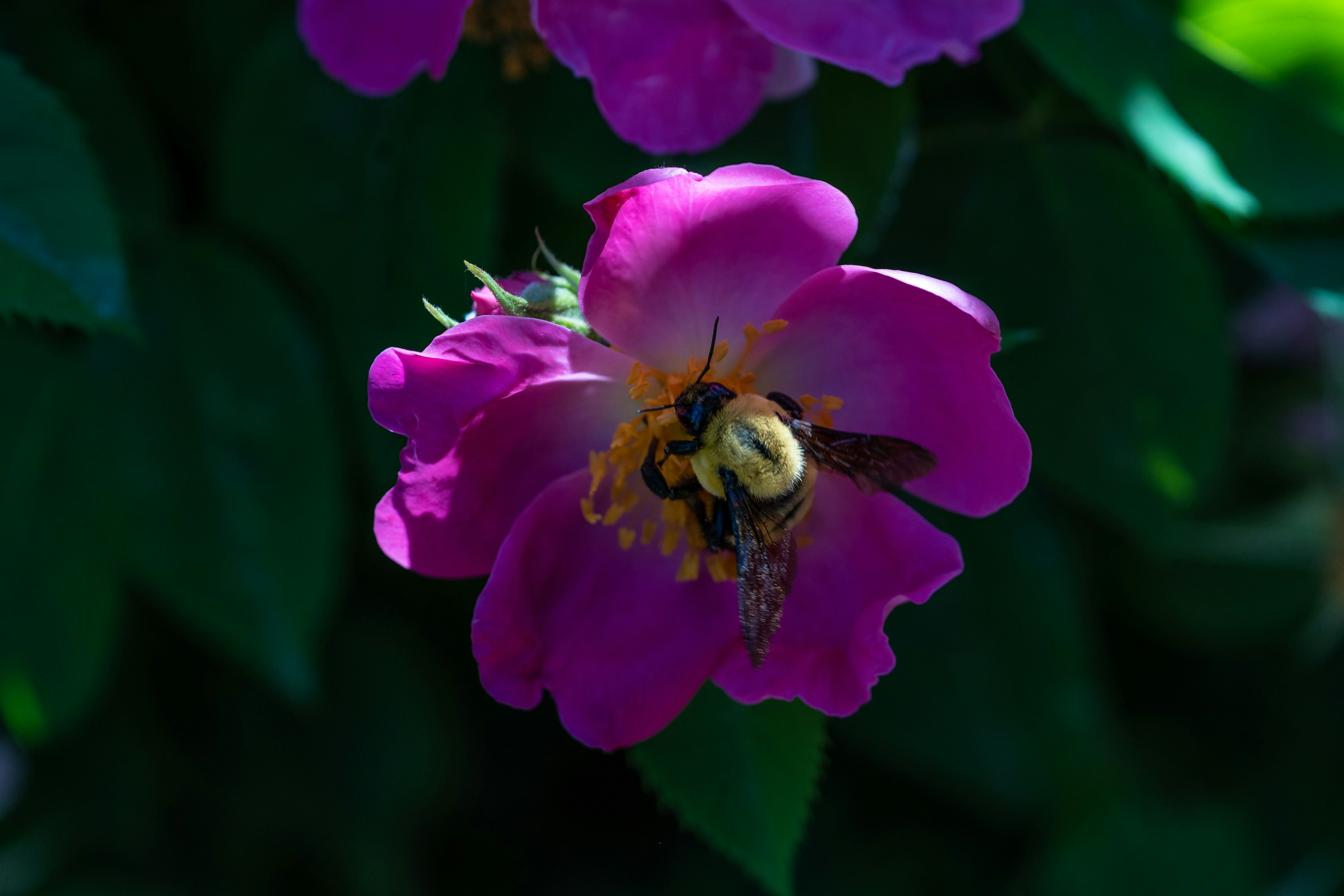 The Best Dating Sites For Actually Getting A Date