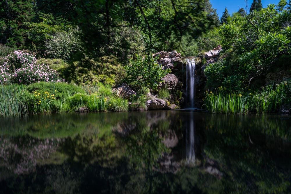 green trees beside water falls during daytime