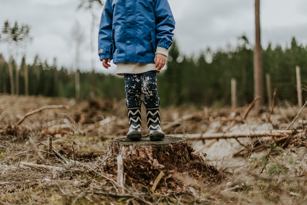 child standing on top of chopped tree