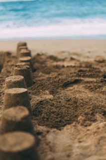 brown sands and seashore during daytime