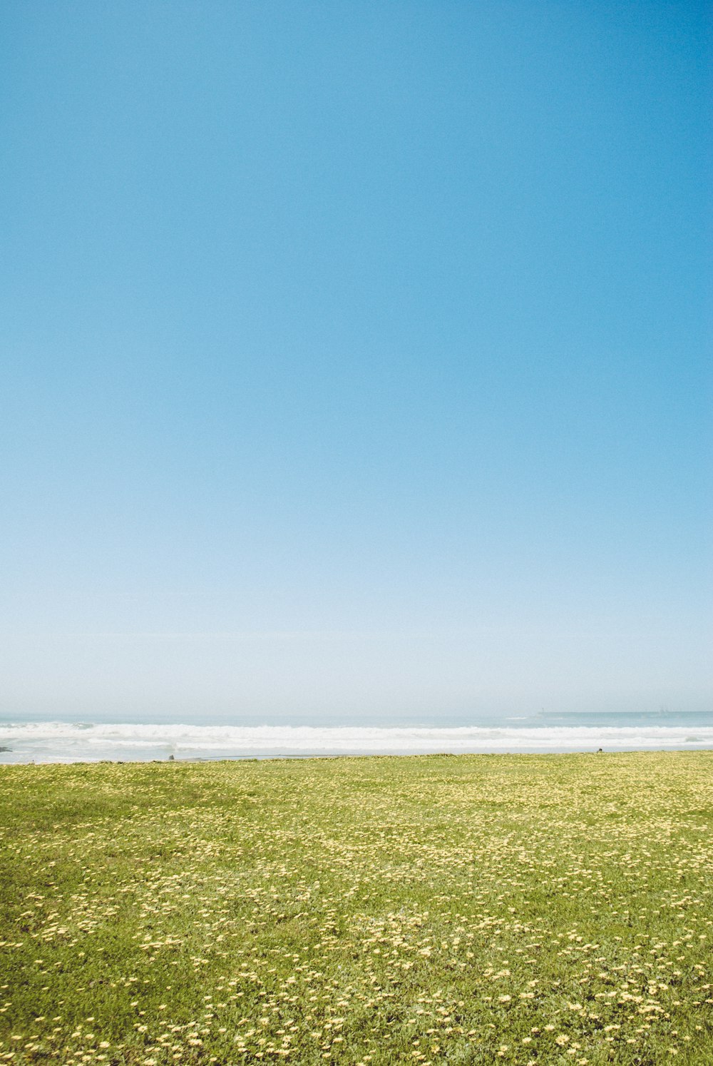 panoramic photography of grass field near body of water