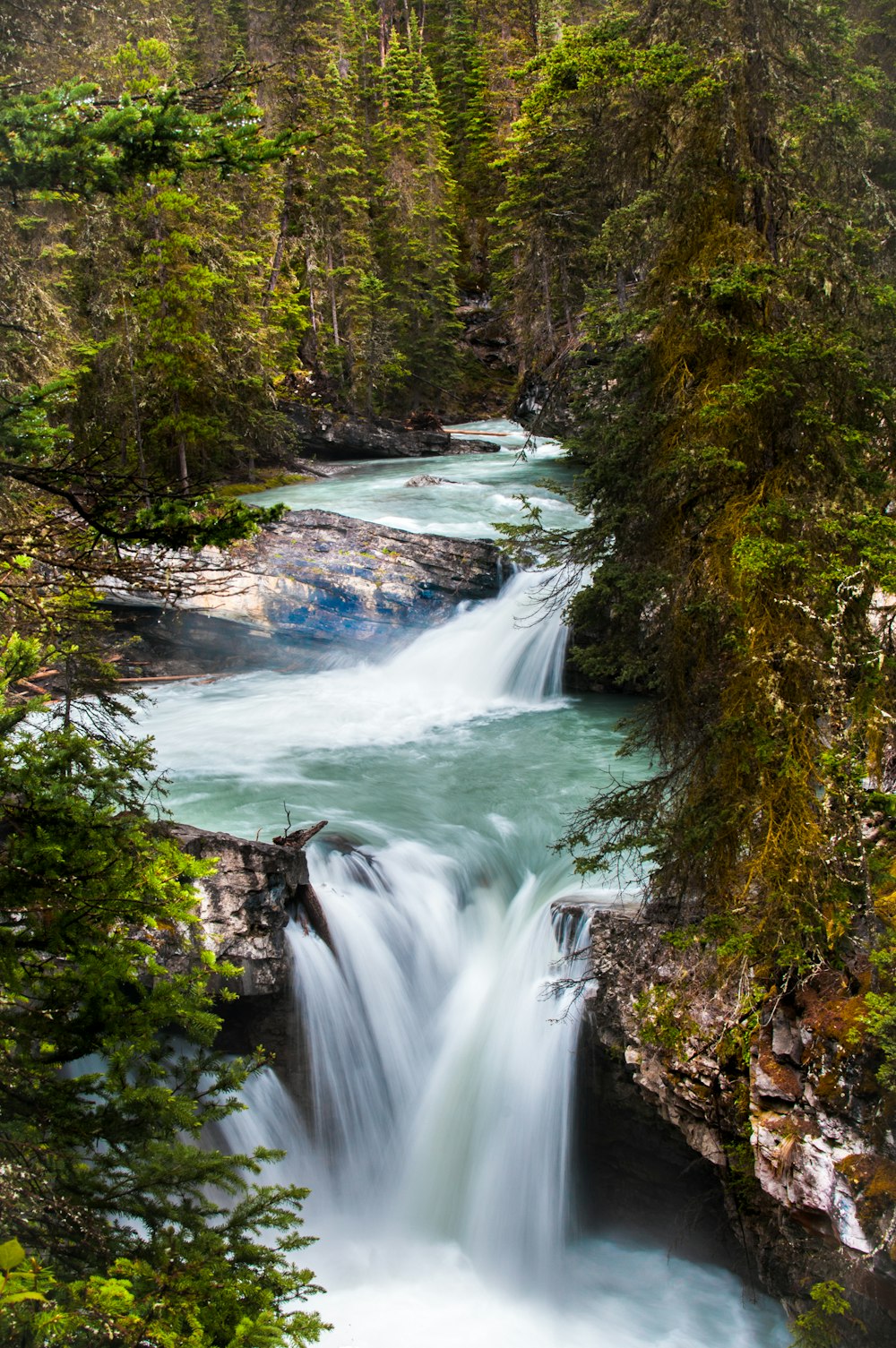 waterfalls surrounded green trees field