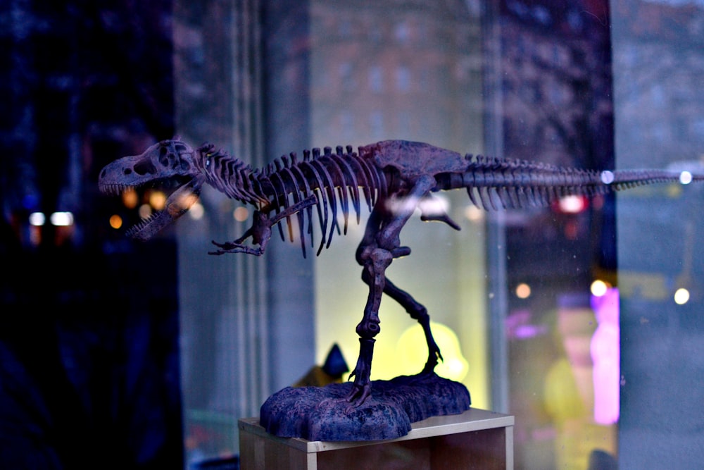 gray dinosaur skeleton figurine