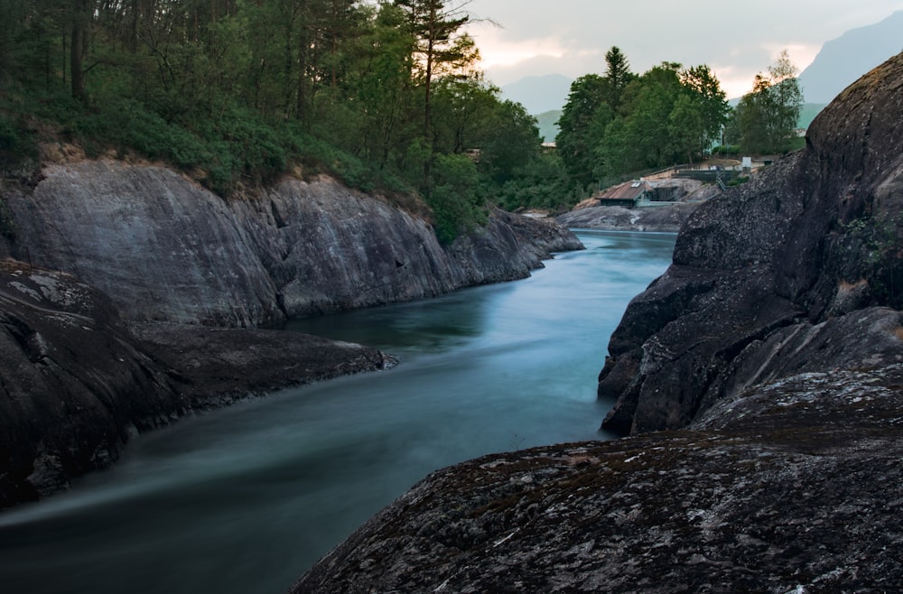 river in forest