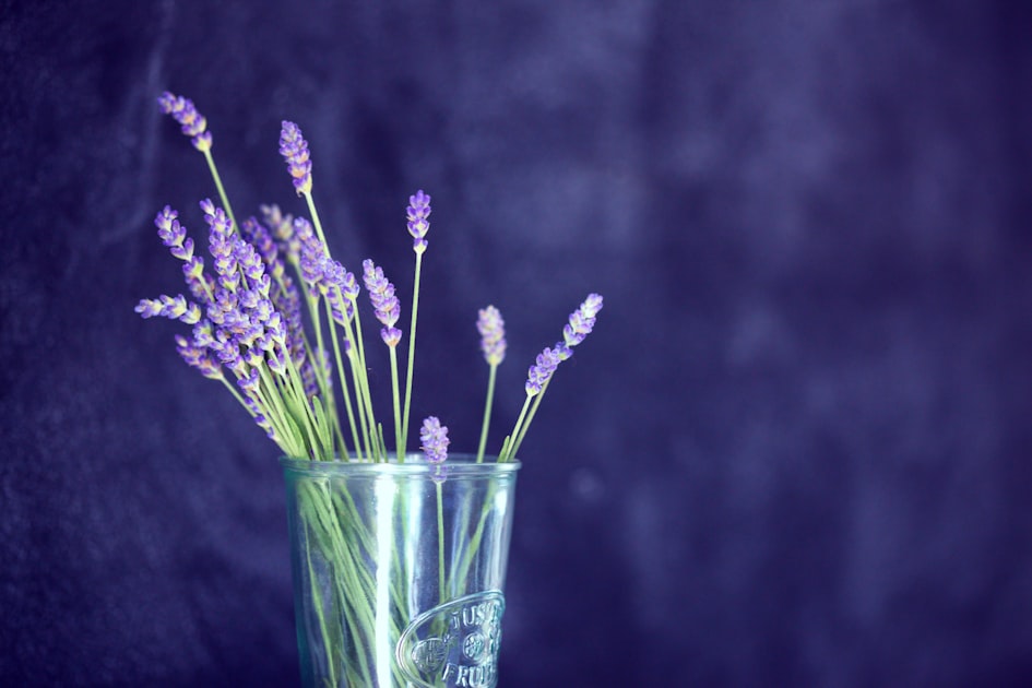 Purple lavender flower petals in a clear glass bowl
