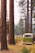 white and green van passing green leafed trees