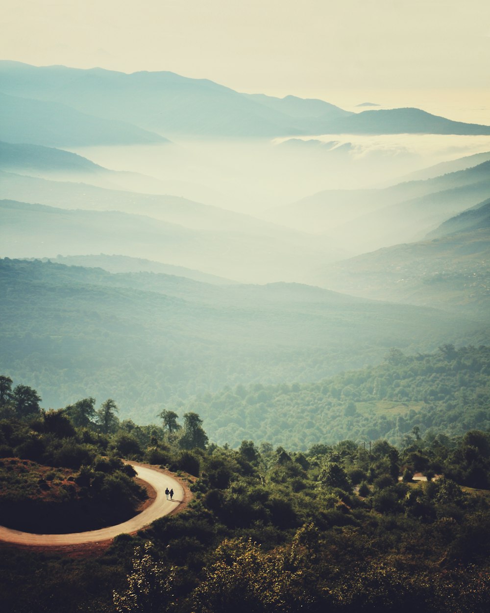 two persons walking on road between green trees