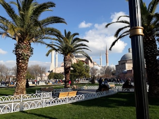 A lively park scene with tall palm trees and green lawns, featuring a historic mosque with prominent minarets in the background. A few people are strolling and sitting on benches, enjoying a sunny day.