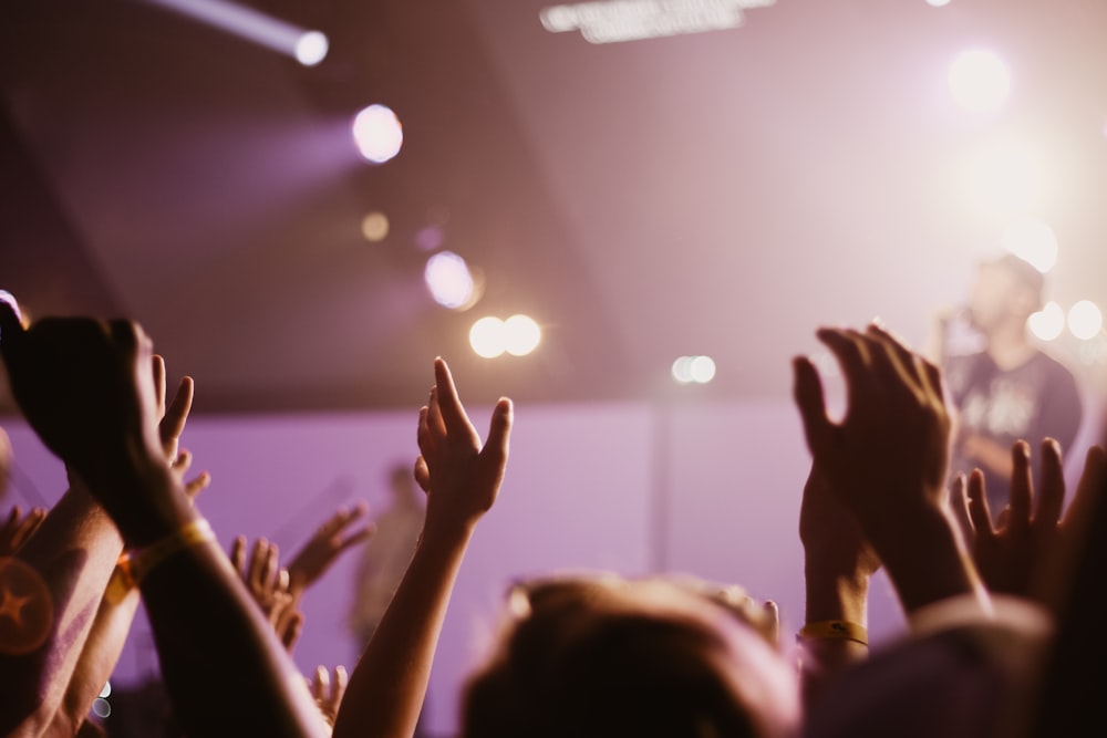 group of people listening to concert