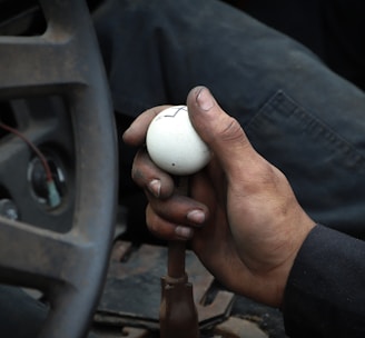 person holding white ball