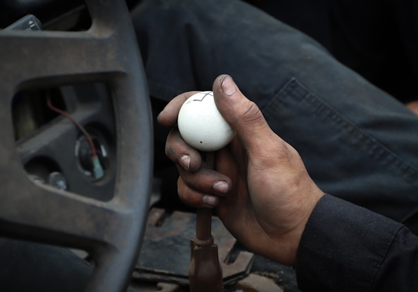 person holding white ball