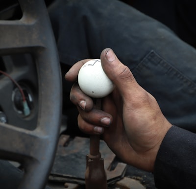 person holding white ball