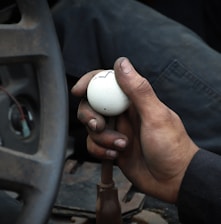 person holding white ball