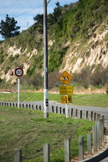 penguins crossing slow signage