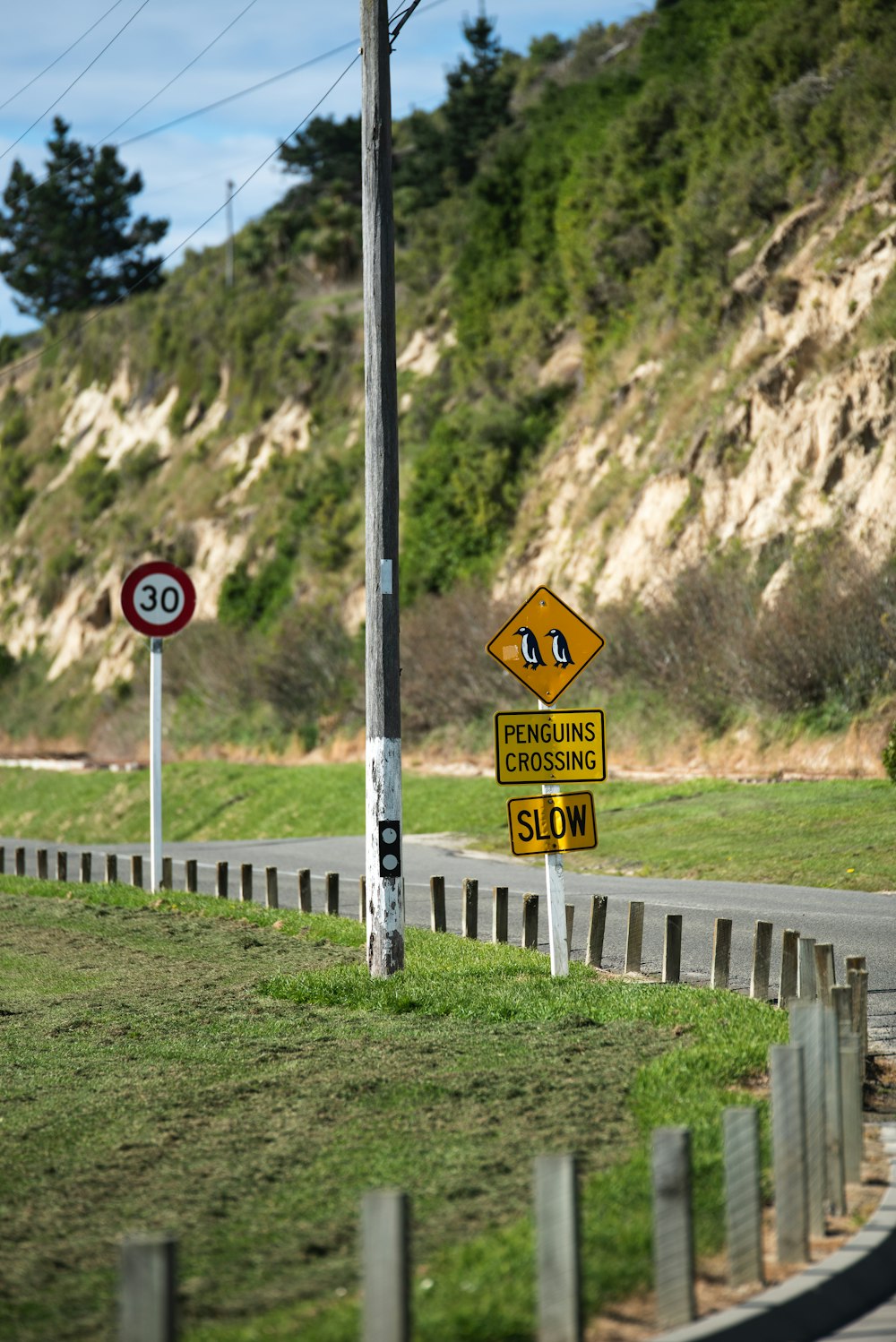 penguins crossing slow signage